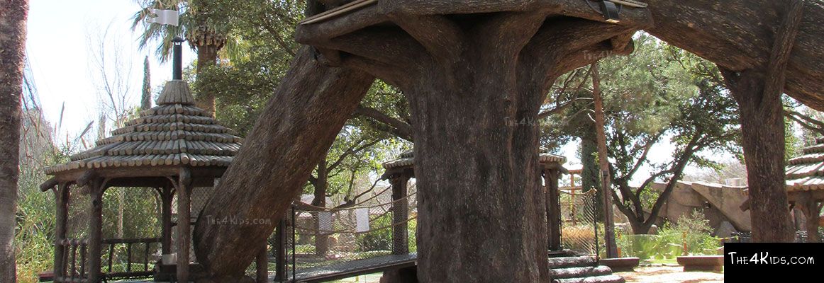 El Paso Zoo, Foster Tree House - Texas Project 12