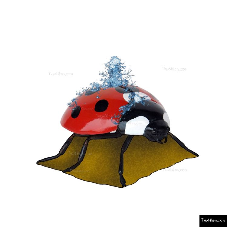 Image of Ladybug Climber