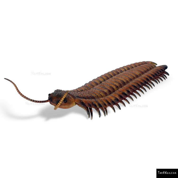 Image of Centipede Sculpture