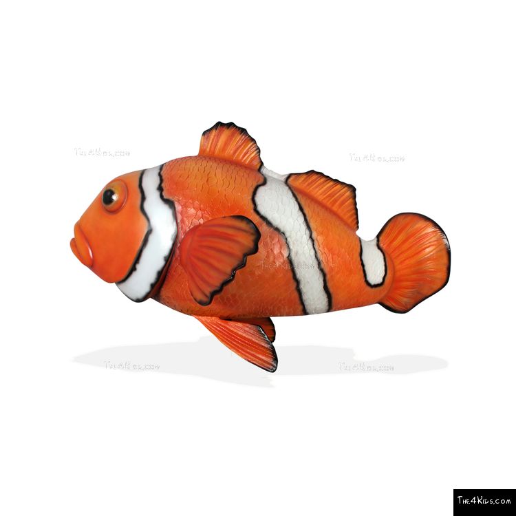 Image of Clown Fish Sculpture