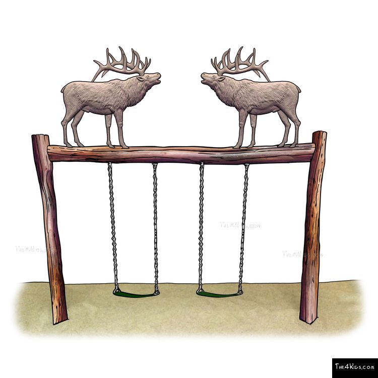 Image of Elk Swing