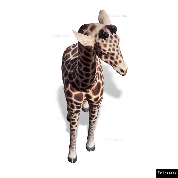 Image of 6ft Baby Giraffe