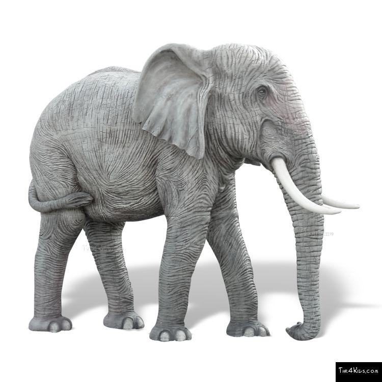 Image of 10ft Elephant