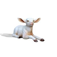 Baby Goat Lying Down