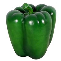 Small Green Pepper