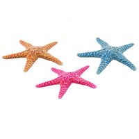 Thumbnail of Starfish