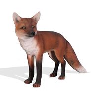 Red Fox 1