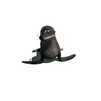 Baby Fur Seal