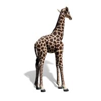 Thumbnail of 6ft Baby Giraffe