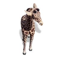 Thumbnail of 6ft Baby Giraffe