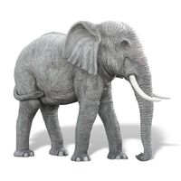 10ft Elephant
