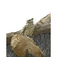 Wise Owl Sculpture