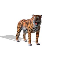 Roaring Bengal Tiger
