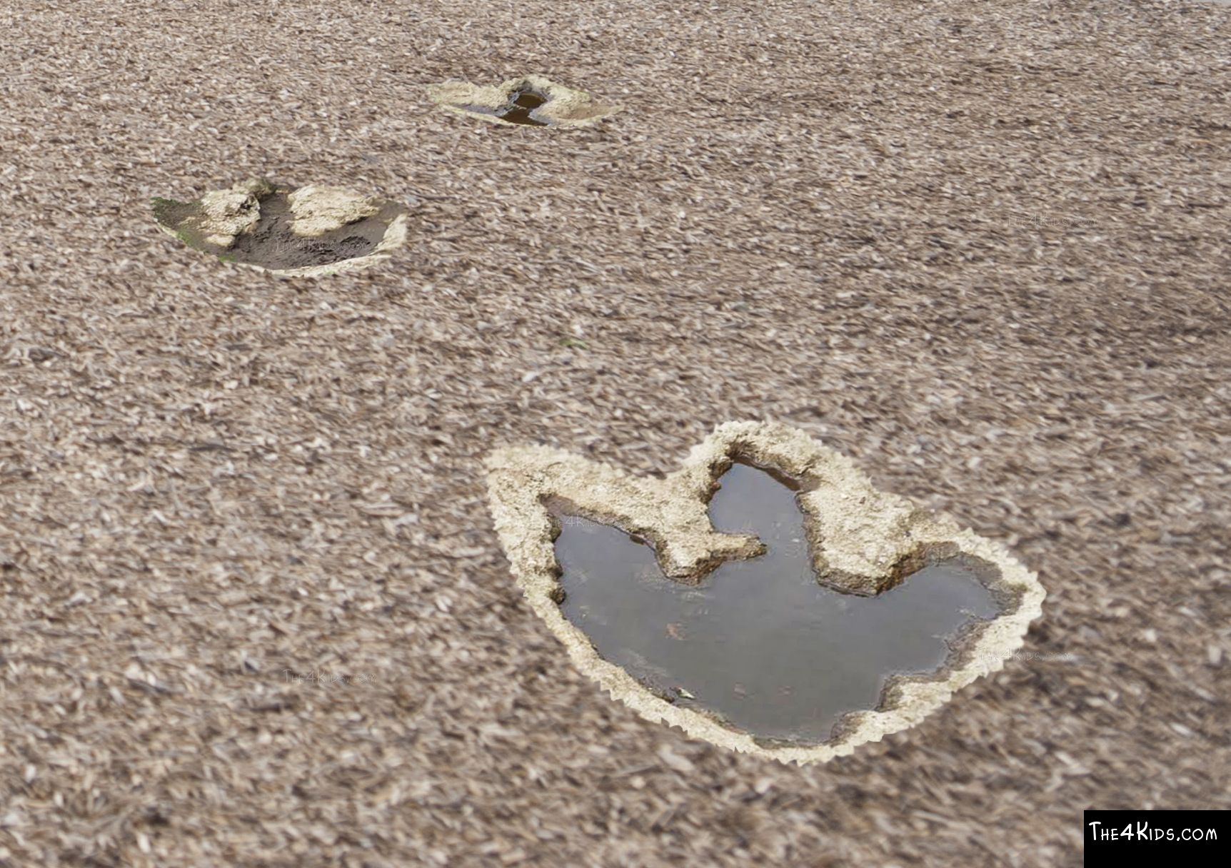 Dino Tracks - The 4 Kids