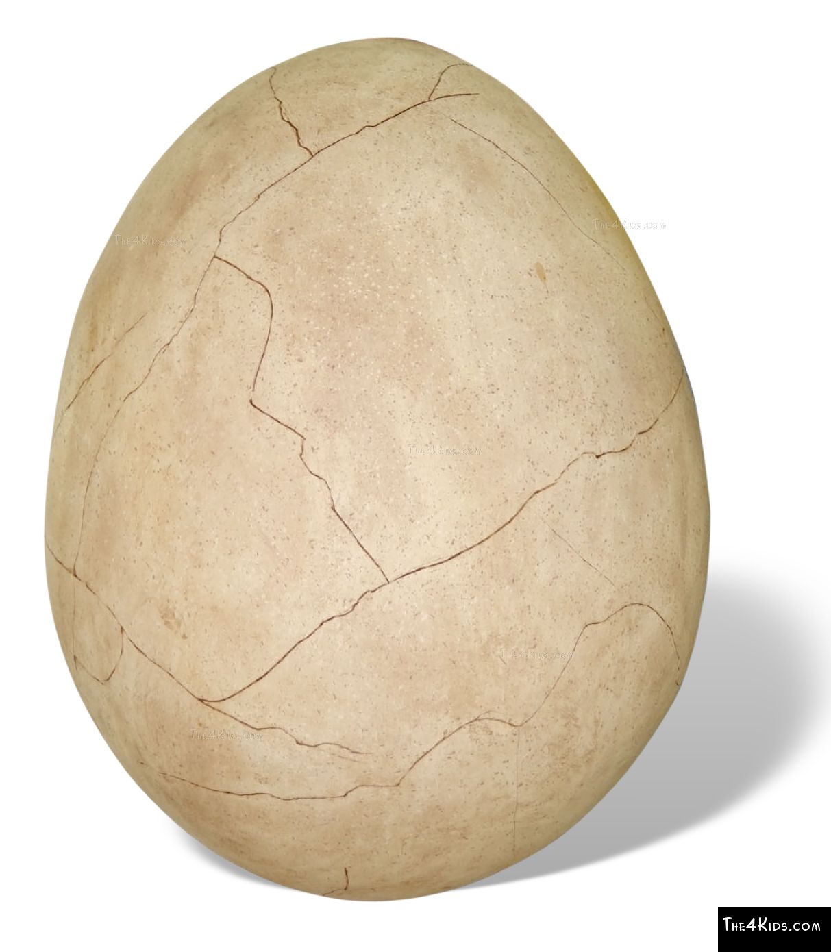 dinosaur egg cracking