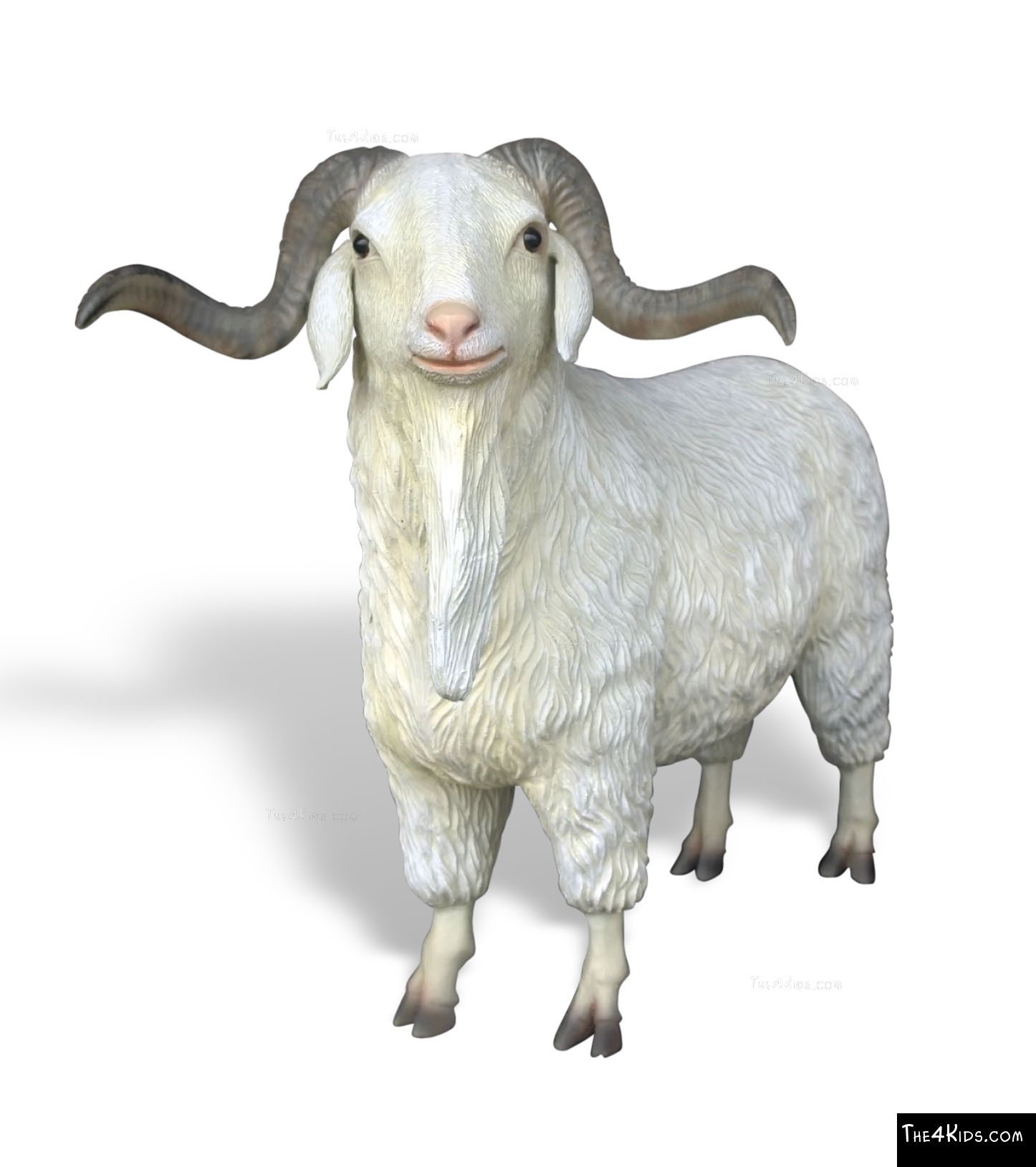 Angora Goat - The 4 Kids