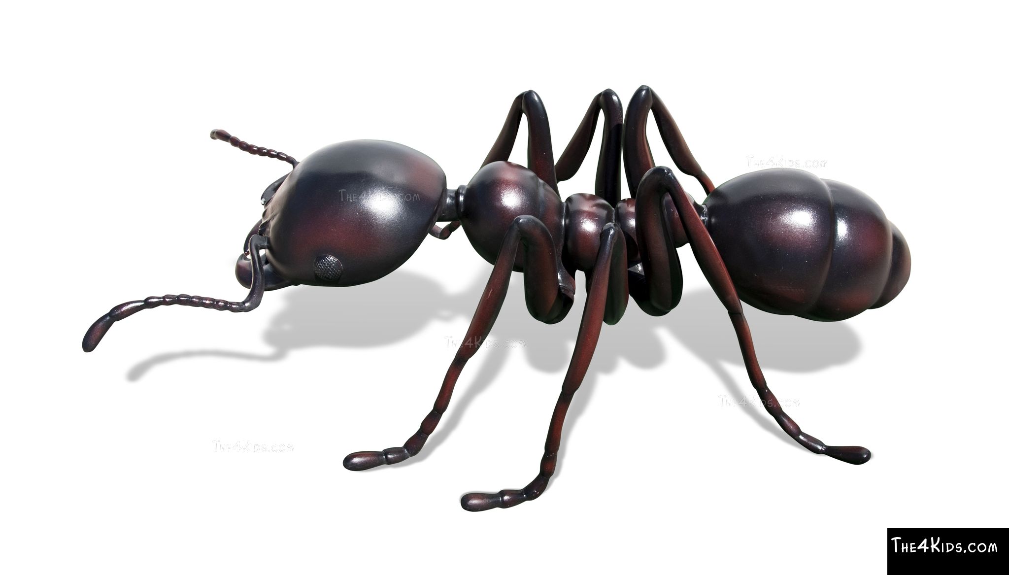 Ant Sculpture The 4 Kids