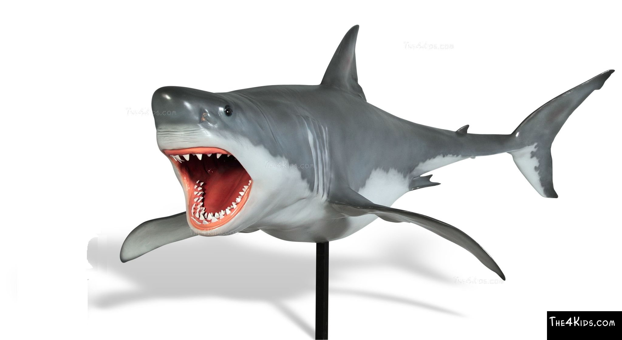 Great White Shark Sculpture The 4 Kids