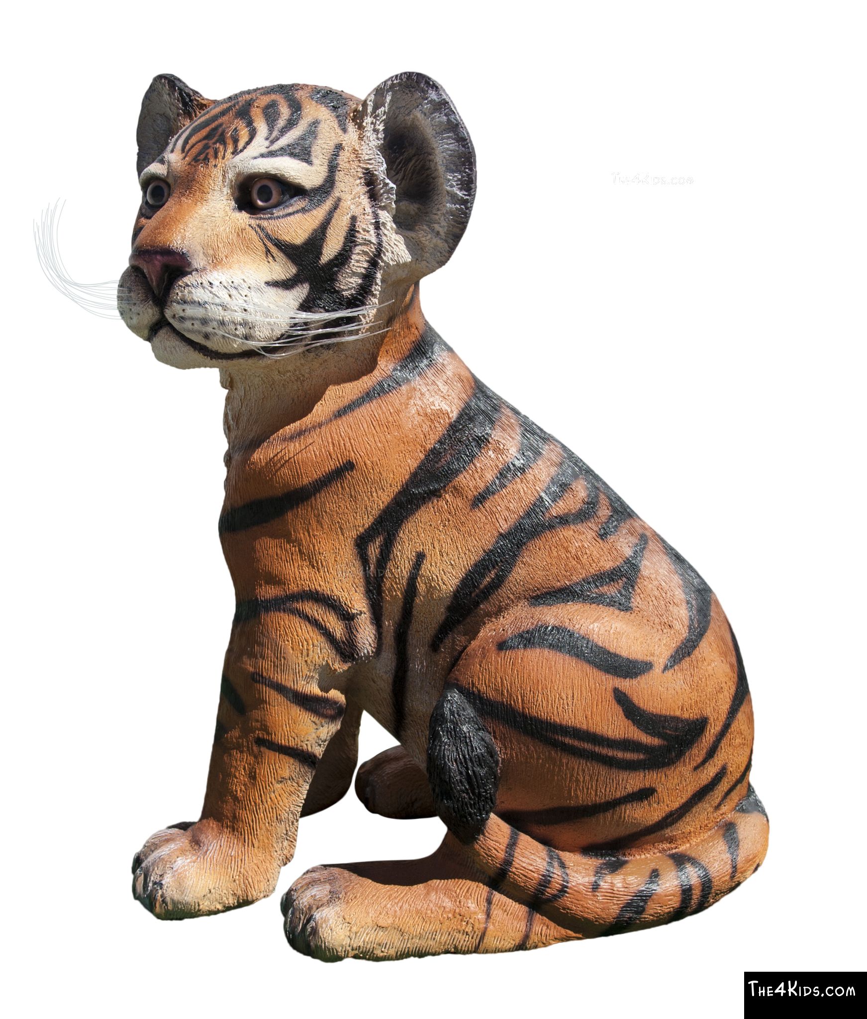 Tiger Cub Sitting