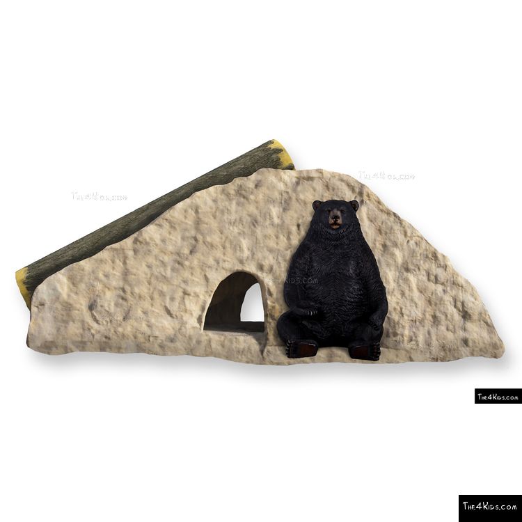 Image of Bear Climb N Slide