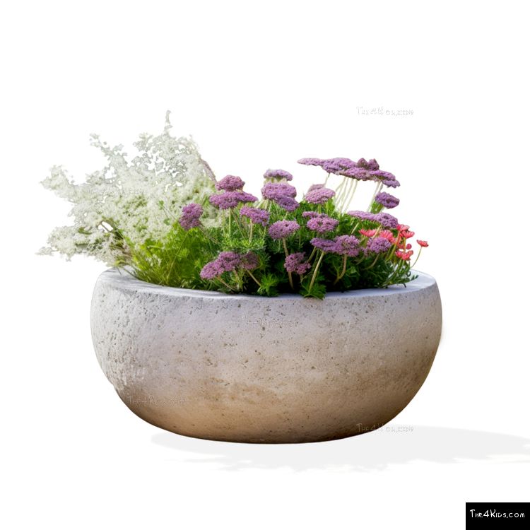 Image of Caesar Bowl Planter