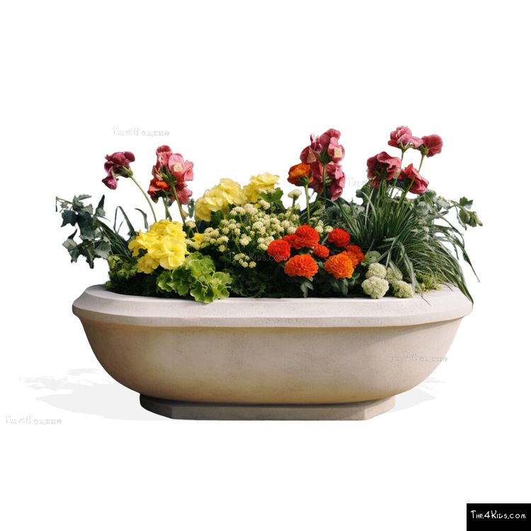 Image of Classic Oval Planter