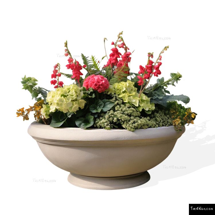 Image of Norwalk Bowl Planter