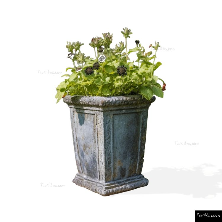 Image of Old Aberdeen Planter