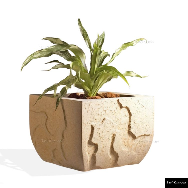 Image of Tectonic Planter