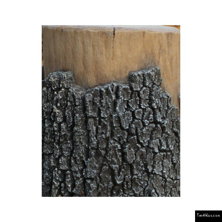 Image of GFRC Tree Texture