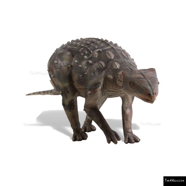 Image of Minmi Ankylosaur