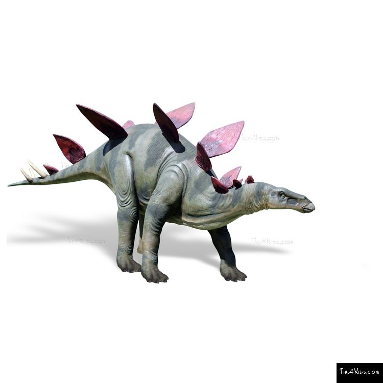 Image of Stegosaurus Sculpture