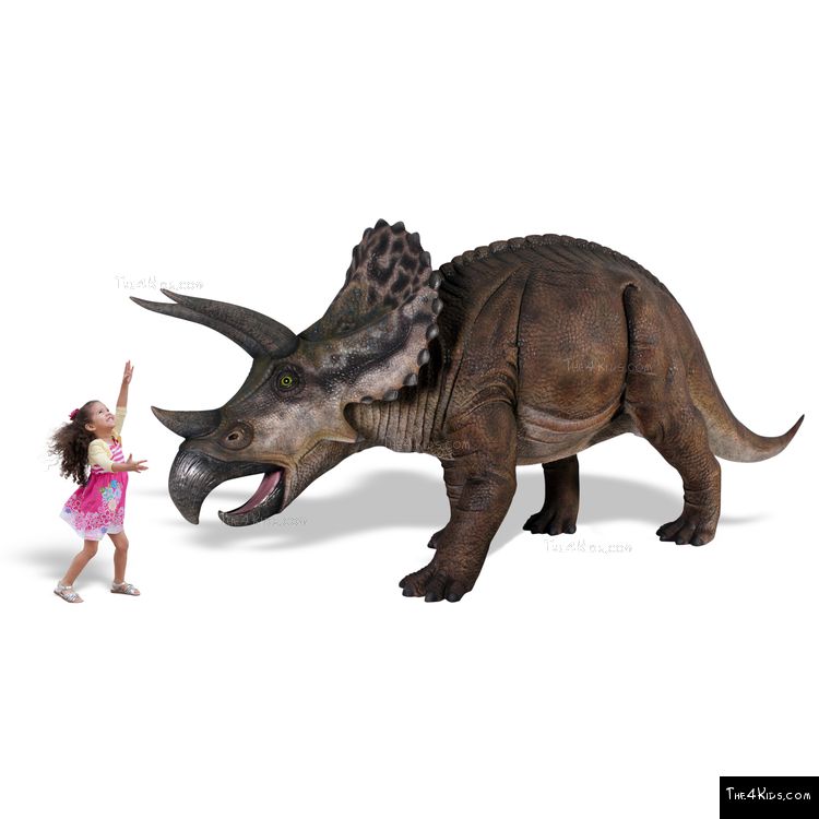 Image of Triceratops Sculpture