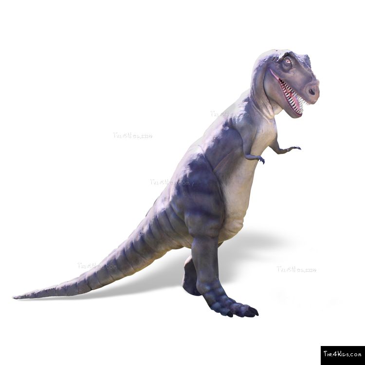 Image of 11ft Tyrannosaurus Rex