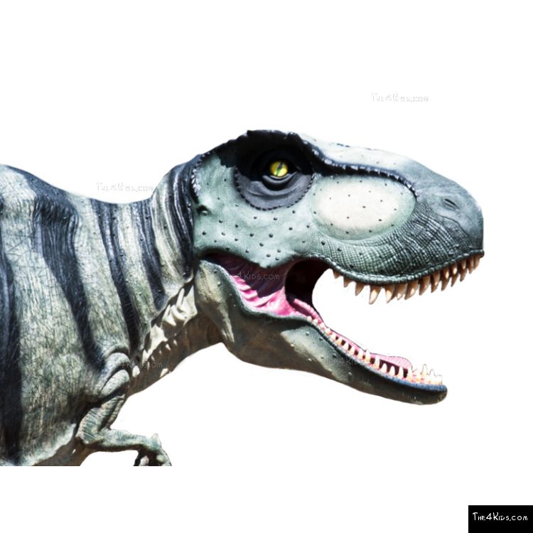 Image of 8ft Hunting T-Rex