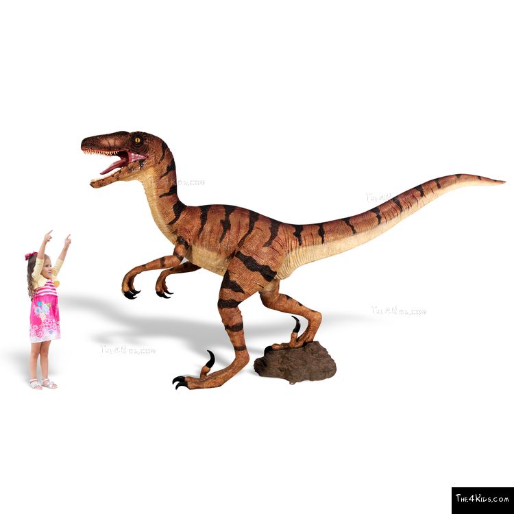Image of Velociraptor Sculpture