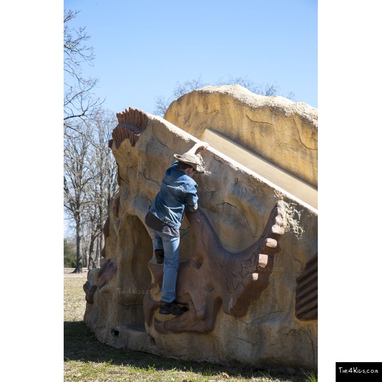 Image of Dino Rock Climb N Slide