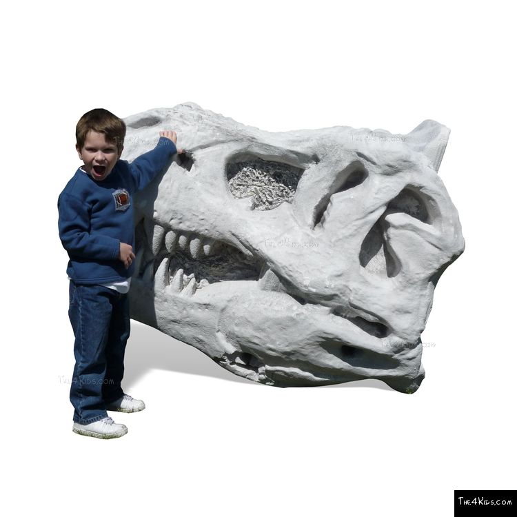 Image of DinoBonz T-Rex Skull Climber