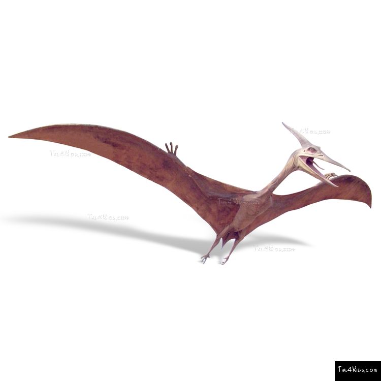 Image of Pterosaur Sculpture