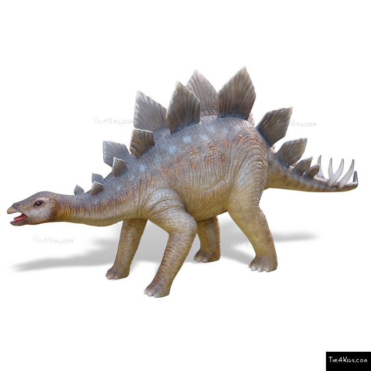 Image of Young Stegosaurus