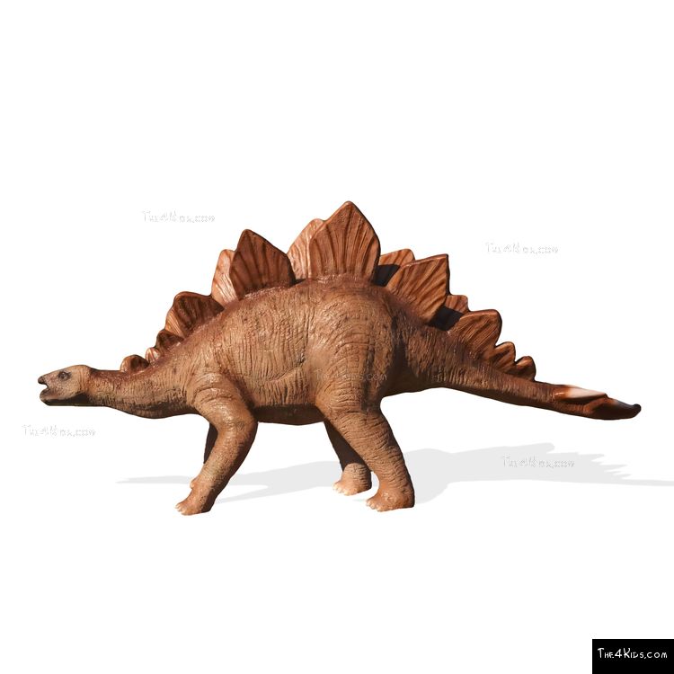 Image of Young Stegosaurus