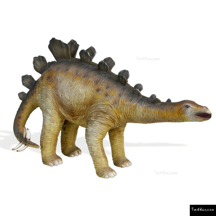 Image of Baby Stegosaurus