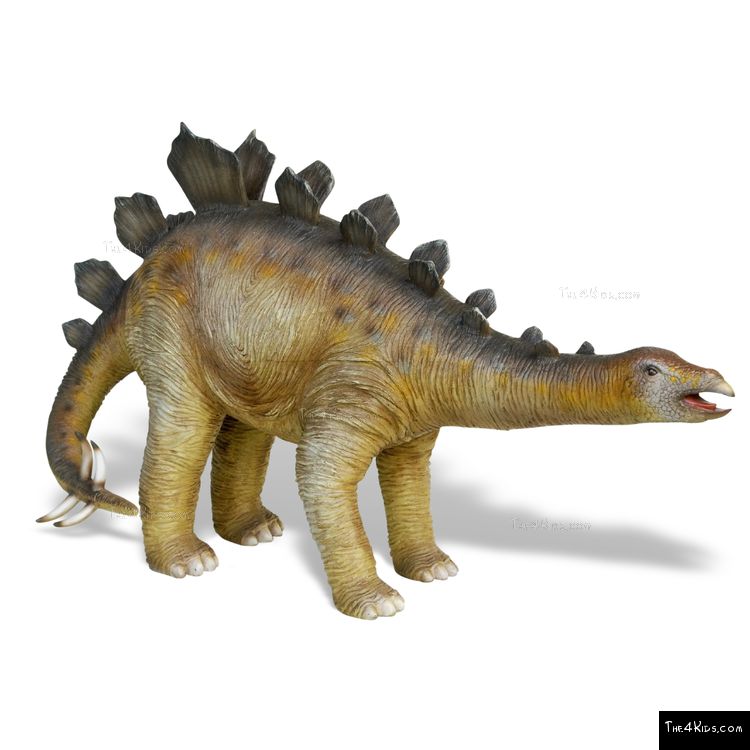 Image of Baby Stegosaurus
