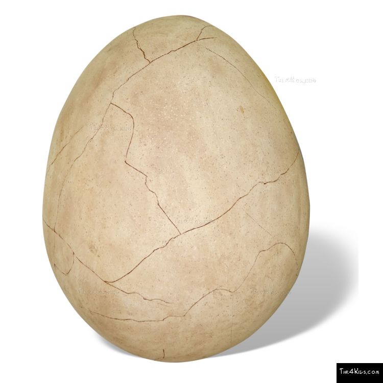 Image of Cracked Dino Egg Sculpture