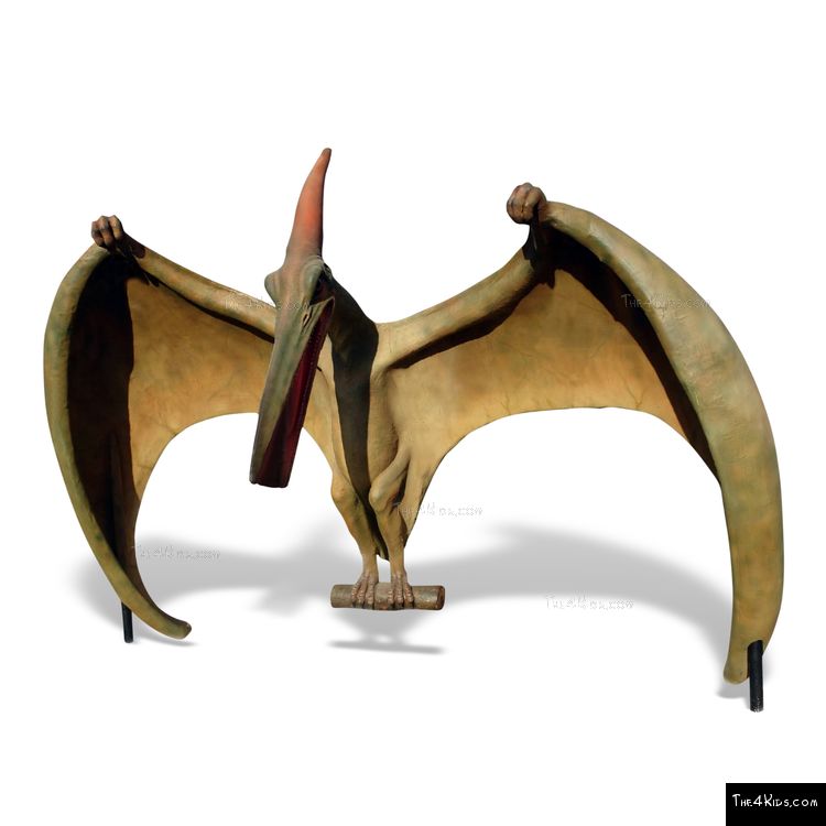 Image of Pteranodon Sculpture