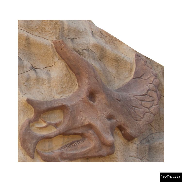 Image of Triceratops Bones Climber