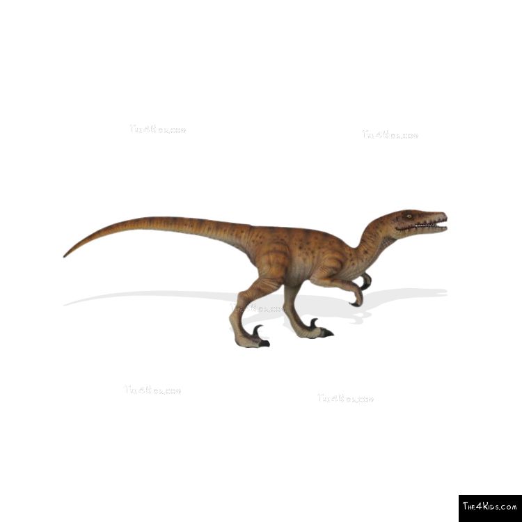 Image of Hunting Velociraptor