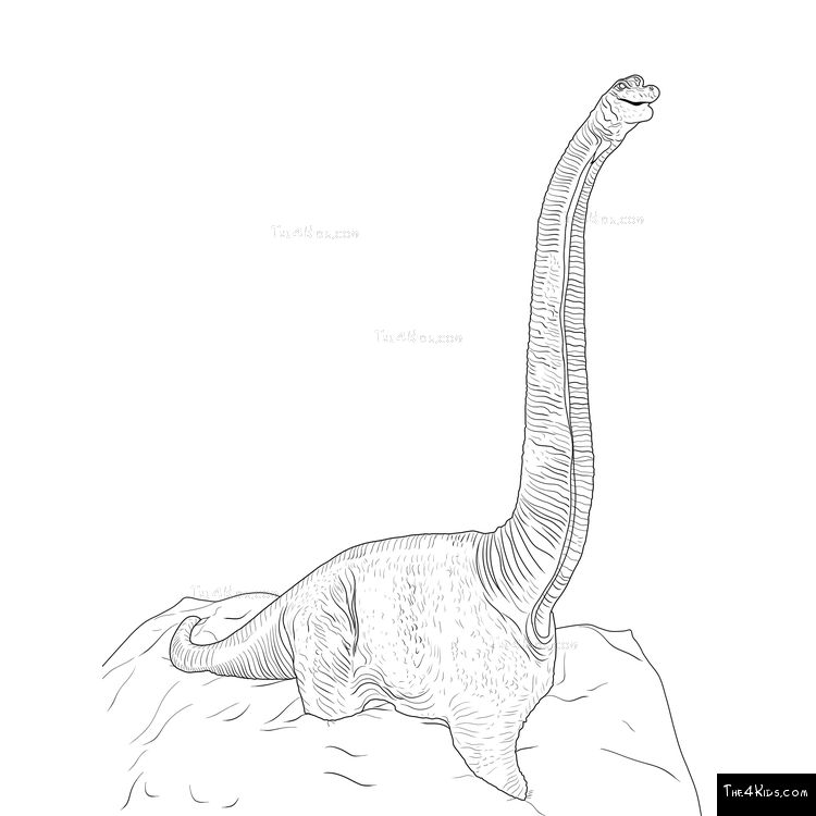 Image of Brachiosaurus Climber