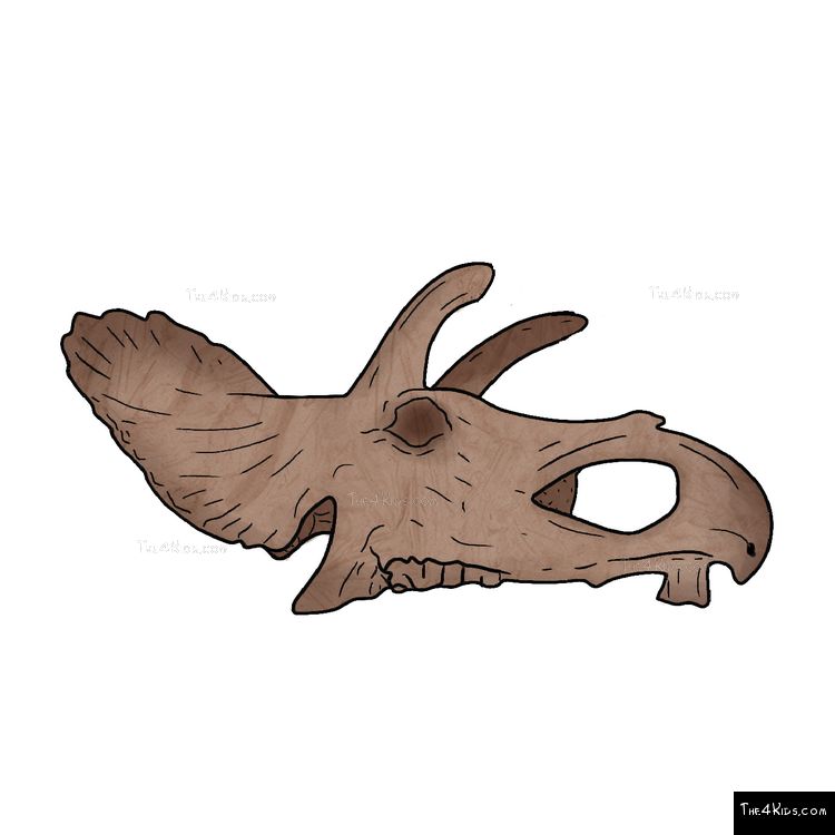 Image of Triceratops Skull Climber