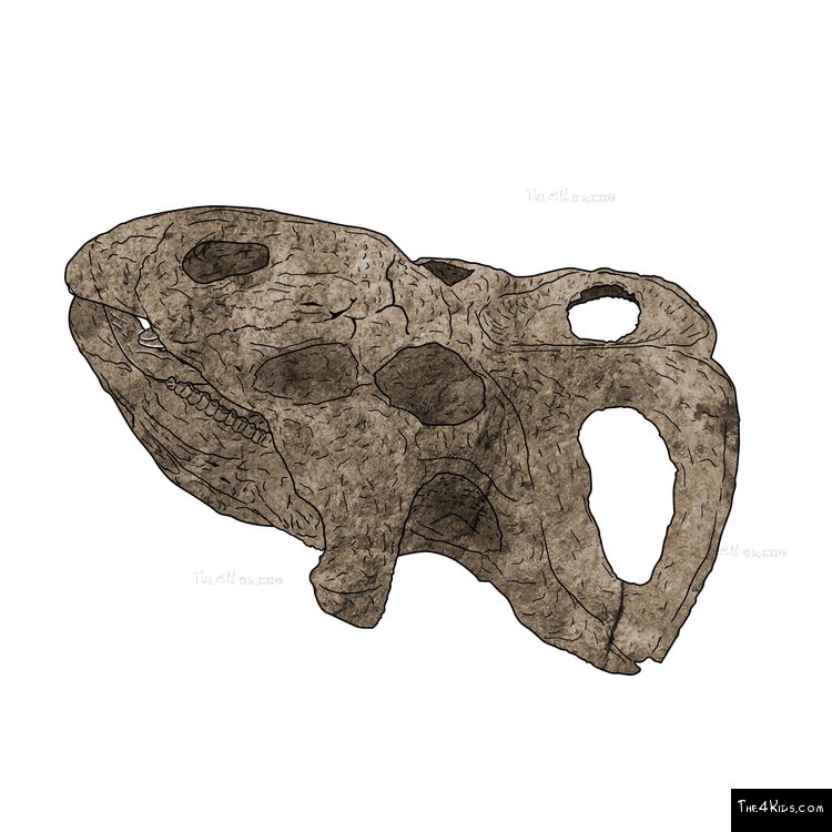 Image of Protoceratops Fossil Climber